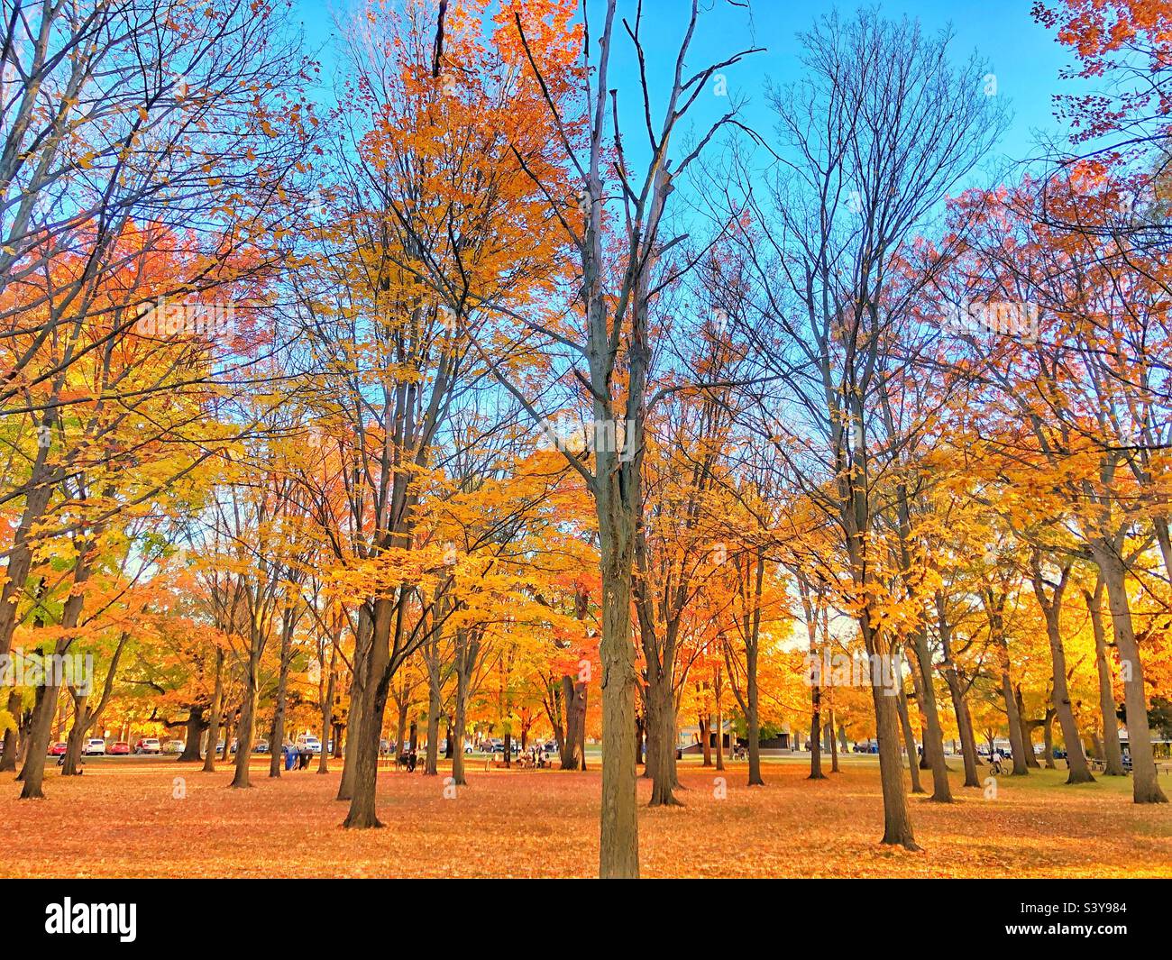 Autumn palette of colours. Stock Photo
