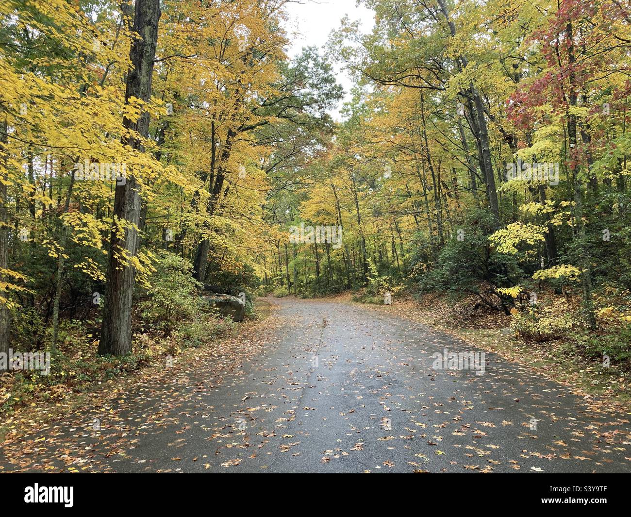 Rainy day on the road in New England as autumn unfolds in Connecticut - Smartphone Captured Stock Image