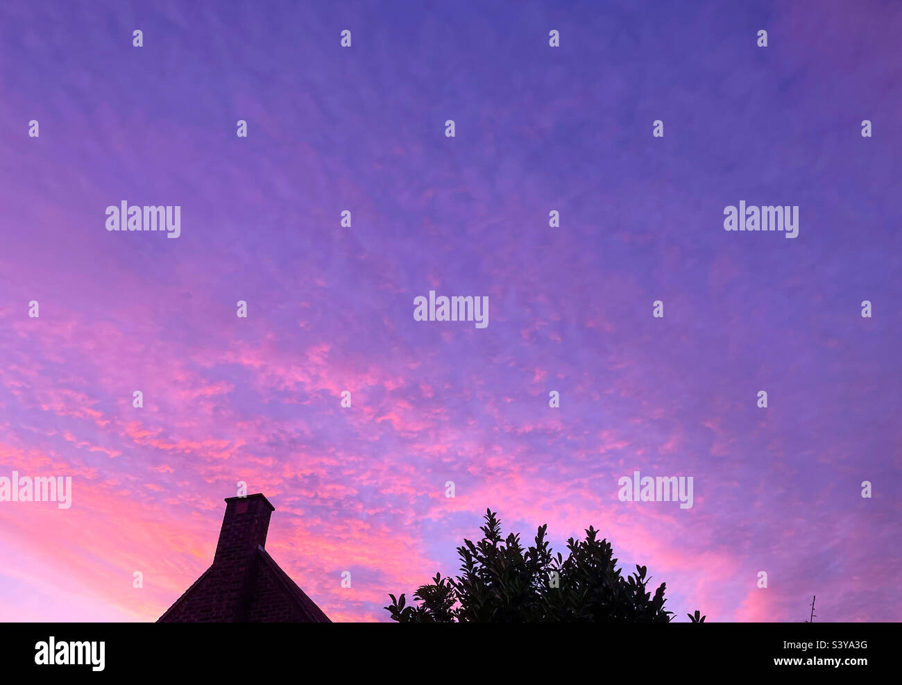 Purple_sky hi-res stock photography and images - Alamy