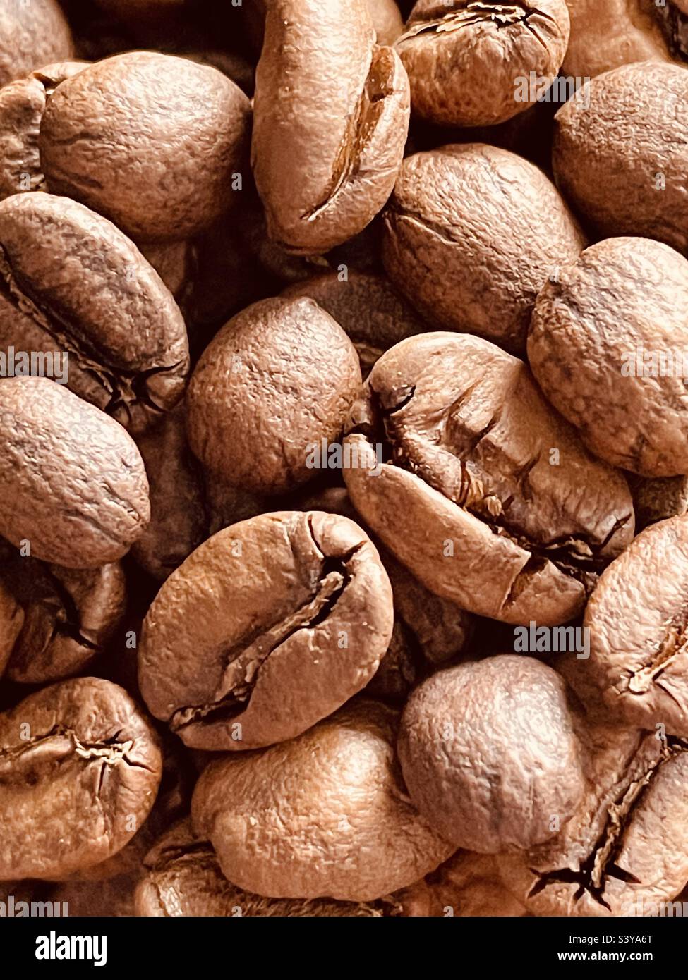 Close up of coffee beans Stock Photo