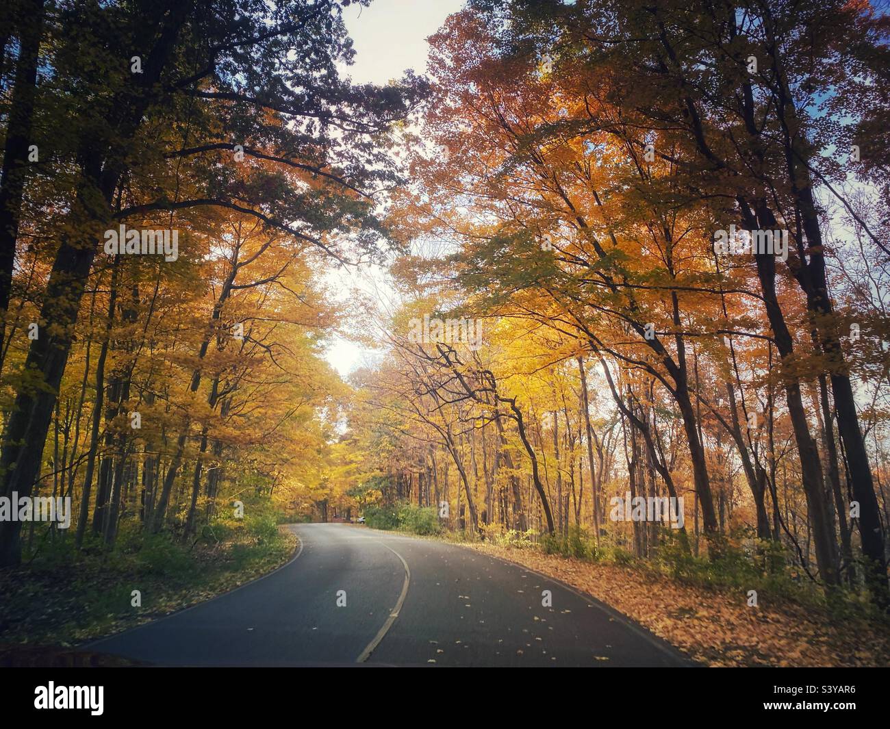 Traveling on the road in fall. - Smartphone Captured Stock Image