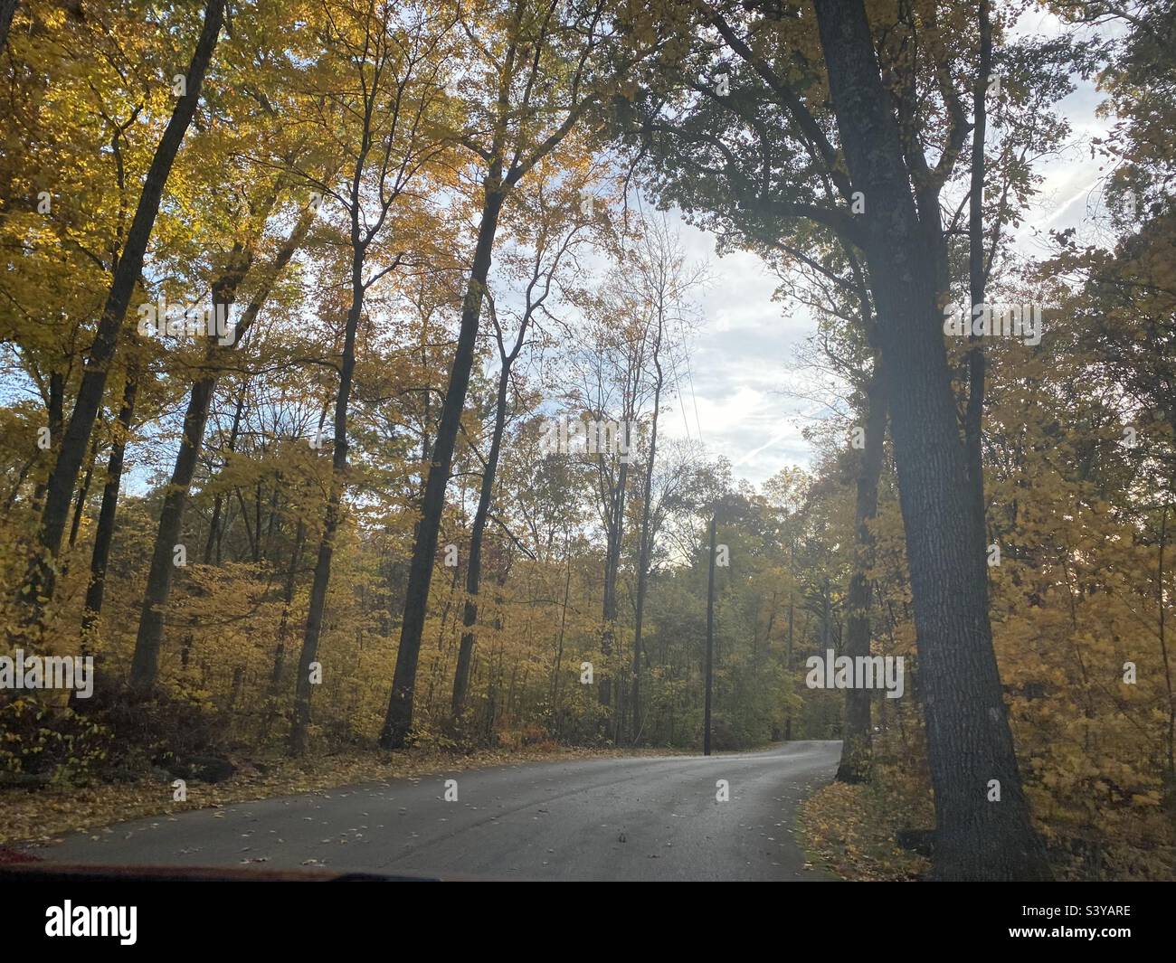 A car ride in a park in the fall. - Smartphone Captured Stock Image