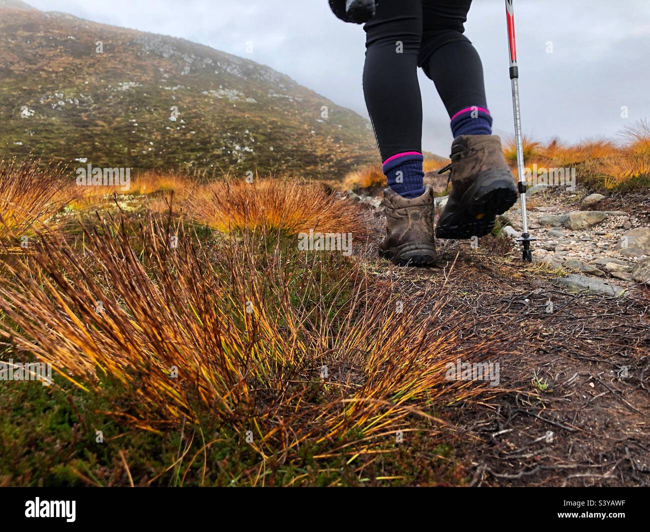Walking in the Scottish Highlands, Scotland - Smartphone Captured Stock Image