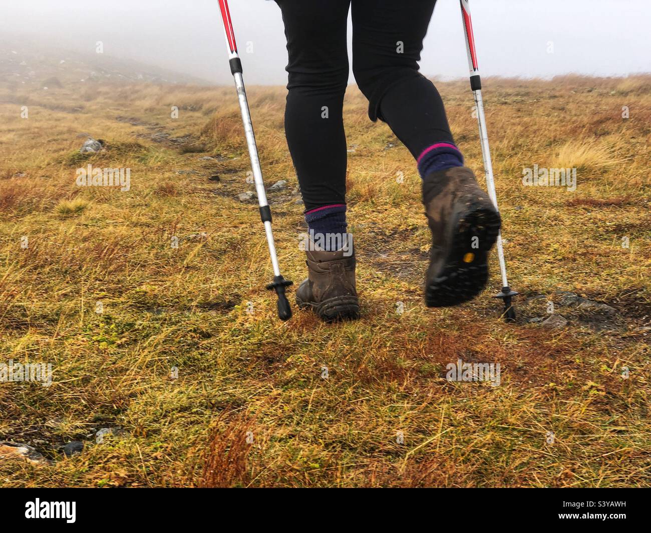 Walking in the Scottish Highlands, Scotland - Smartphone Captured Stock Image