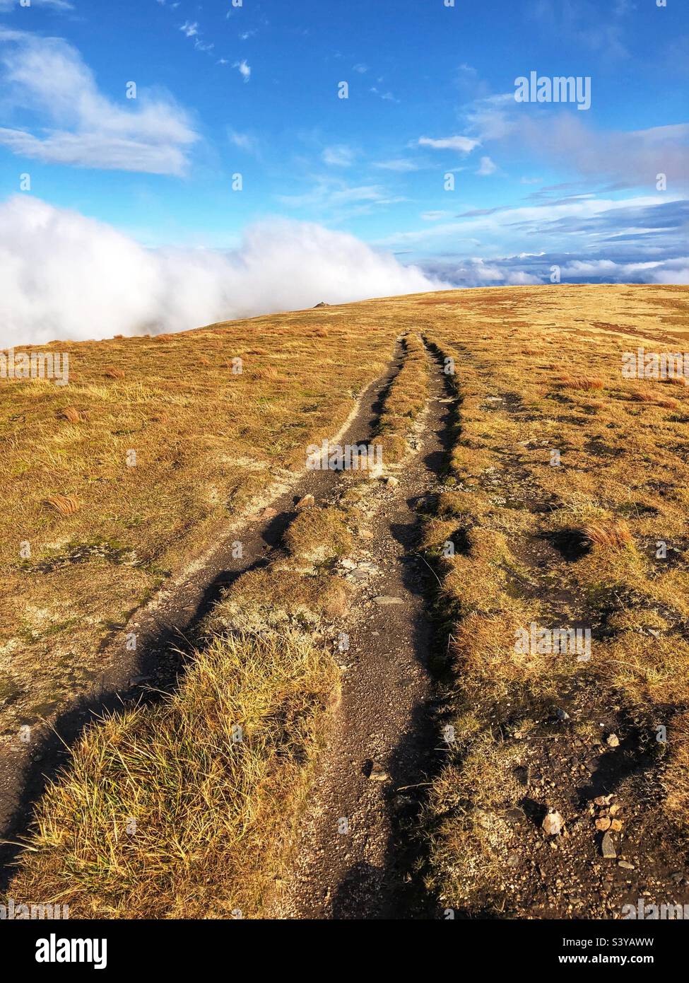 Track on mountain in the Scottish Highlands, Scotland - Smartphone Captured Stock Image