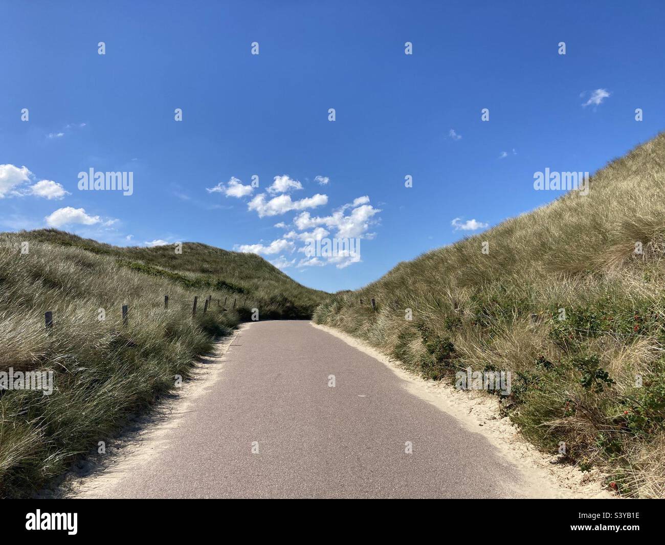 A grass bordered path through dunes to the beach under blue sky - Smartphone Captured Stock Image