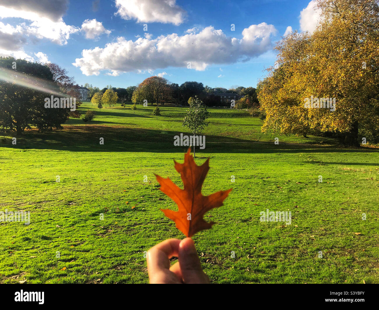 Autumn leaf held in hand out focus image against a brightly sunlit green lush in a park - Smartphone Captured Stock Image