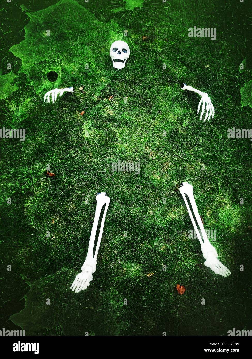 Skeleton on lawn. Halloween. - Smartphone Captured Stock Image