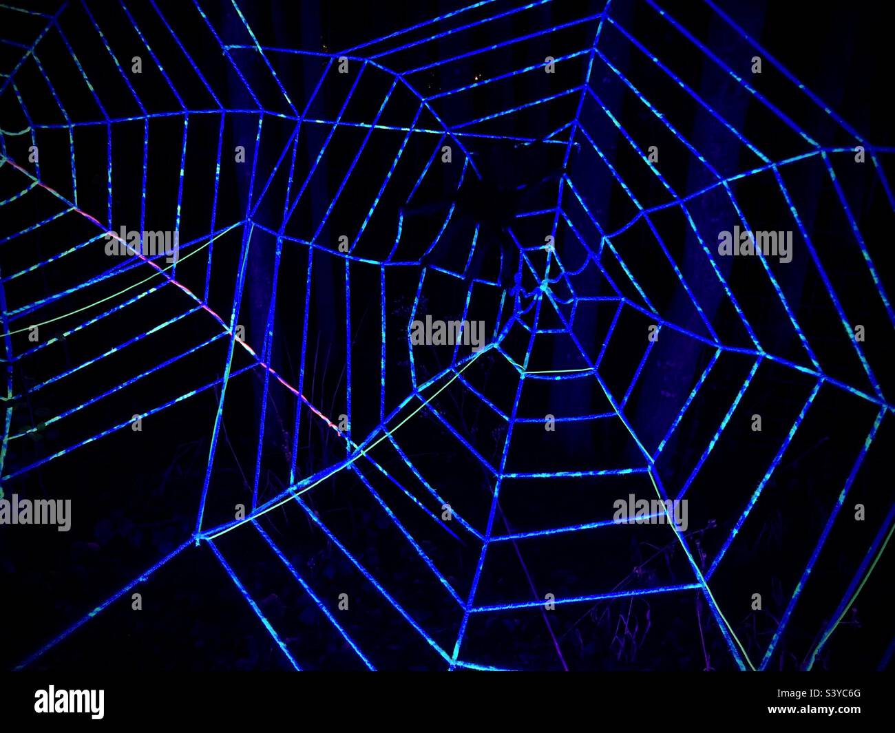 Edinburgh Zoo Spooktacular Glow in the Dark Spider Web Stock Photo