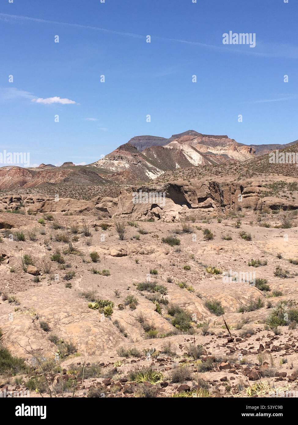 big-bend-ranch-state-park-redford-texas-stock-photo-alamy