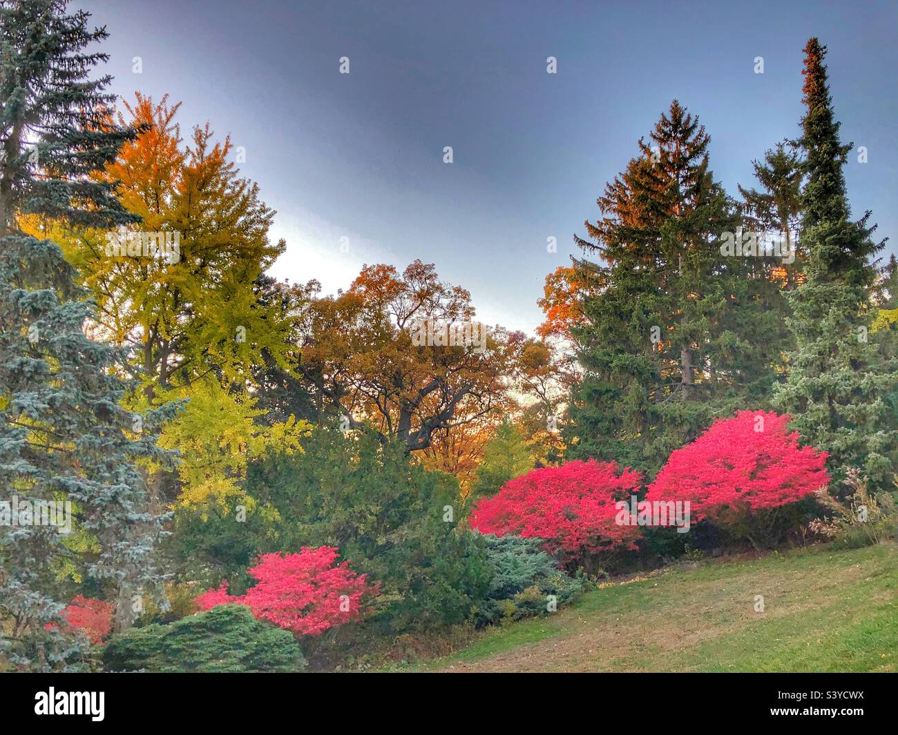 Autumn landscape. Stock Photo