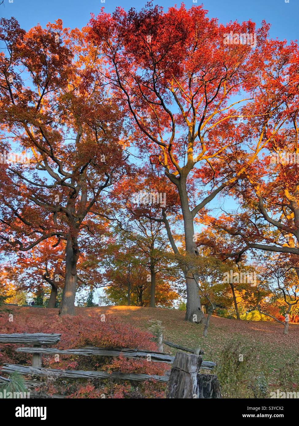 A beautiful autumn landscape. Stock Photo