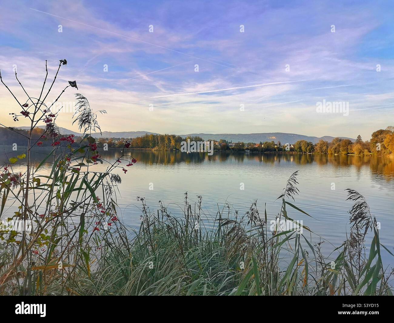 Peaceful Swiss lake in October - Smartphone Captured Stock Image