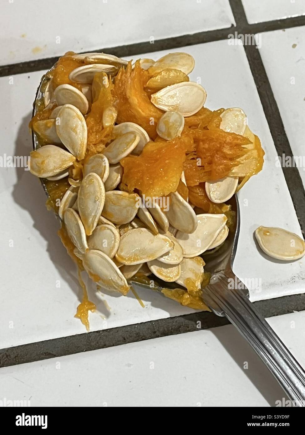 Scooping out pumpkin seeds on Halloween - Smartphone Captured Stock Image