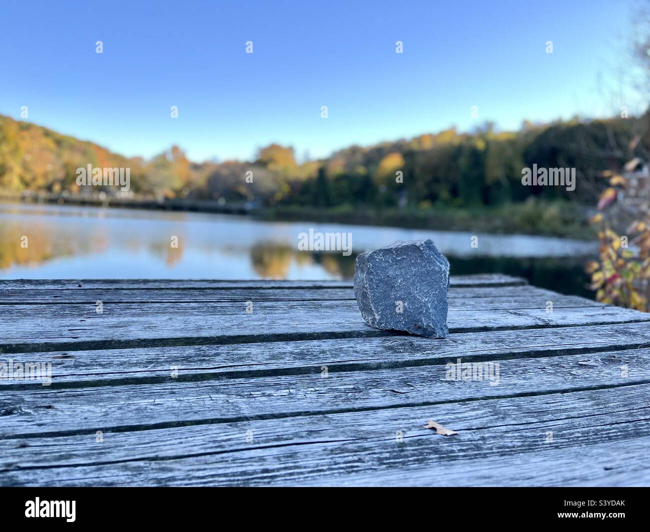 A rock on the wood table by the lake in foliage season - Smartphone Captured Stock Image