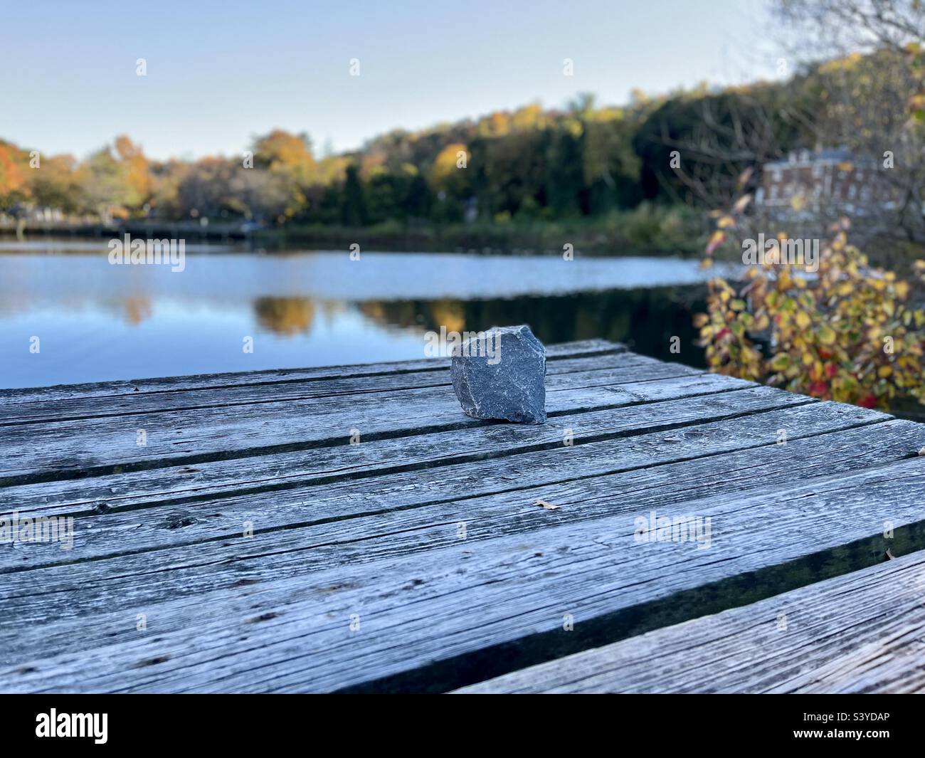 A rock on the wood table by the lake in foliage season - Smartphone Captured Stock Image