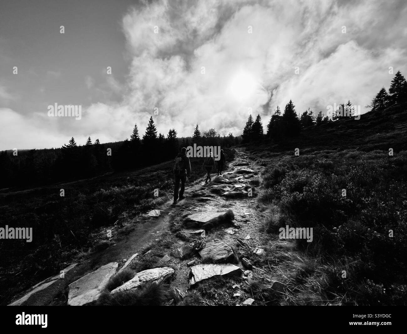 Morning Hike off Praded - Smartphone Captured Stock Image