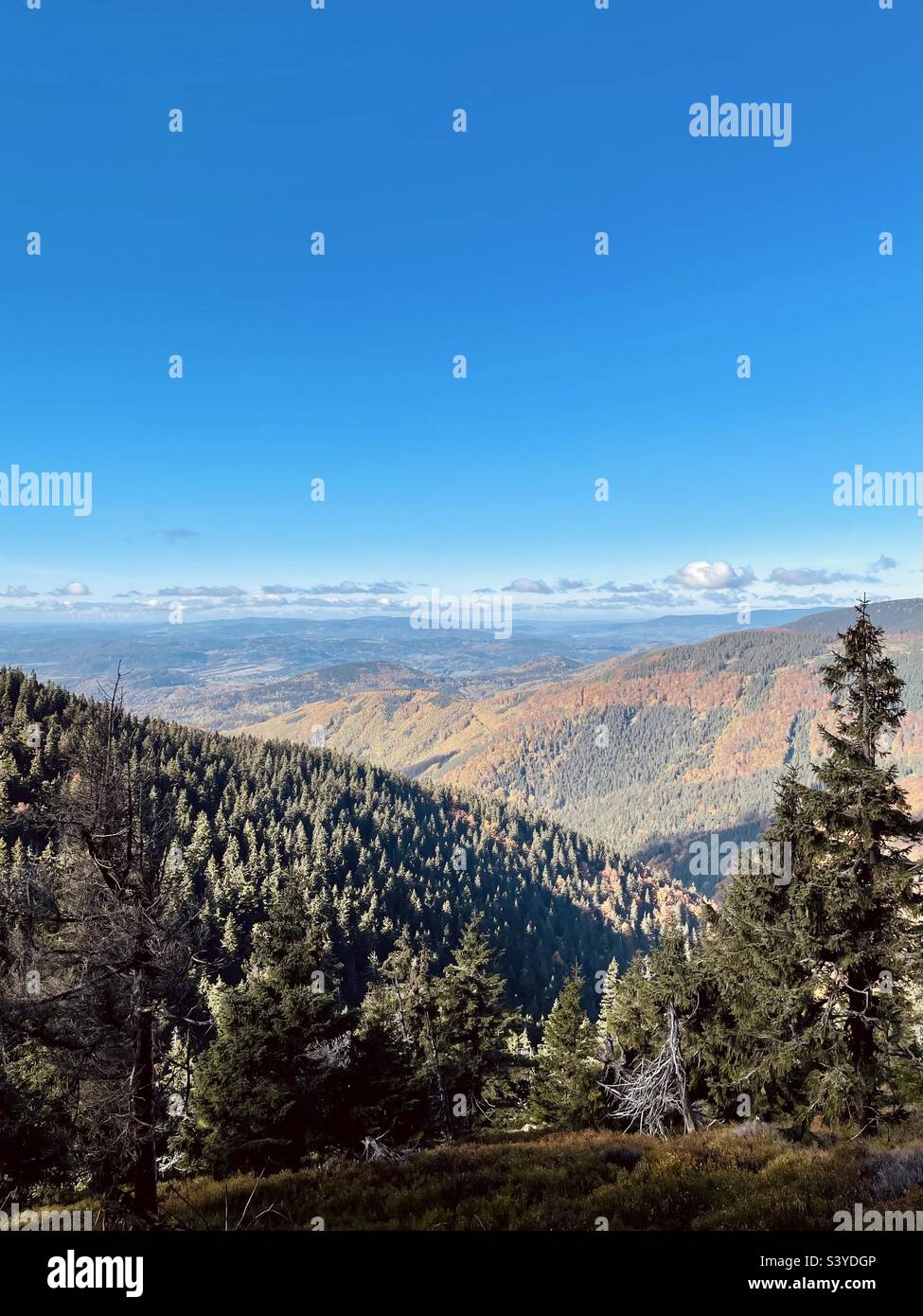 Northern Moravia - Smartphone Captured Stock Image
