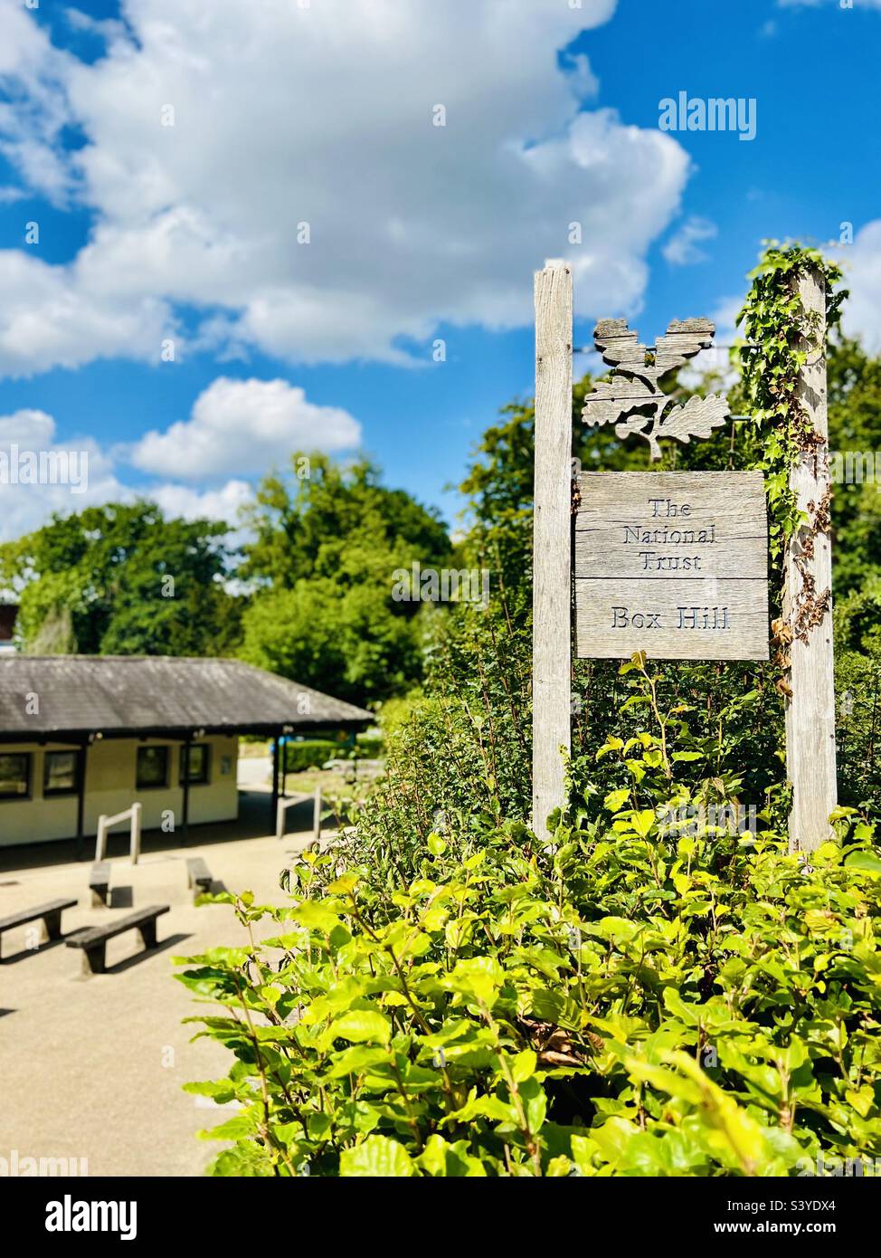 National trust box hill hi-res stock photography and images - Alamy