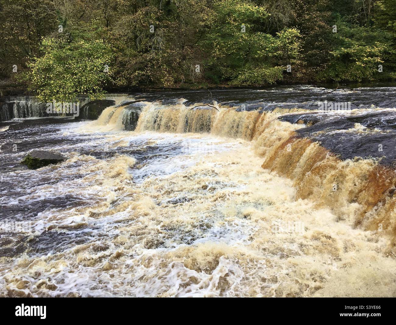 Yorkshire Dales National park Upper Aysgarth falls full spate on the River Ure Wensleydale Yorkshire Dales North Yorkshire England UK GB Europe - Smartphone Captured Stock Image