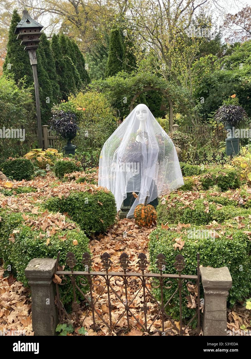 Ghost in the garden, of a colonial house in Clinton, Connecticut, USA for Halloween - Smartphone Captured Stock Image