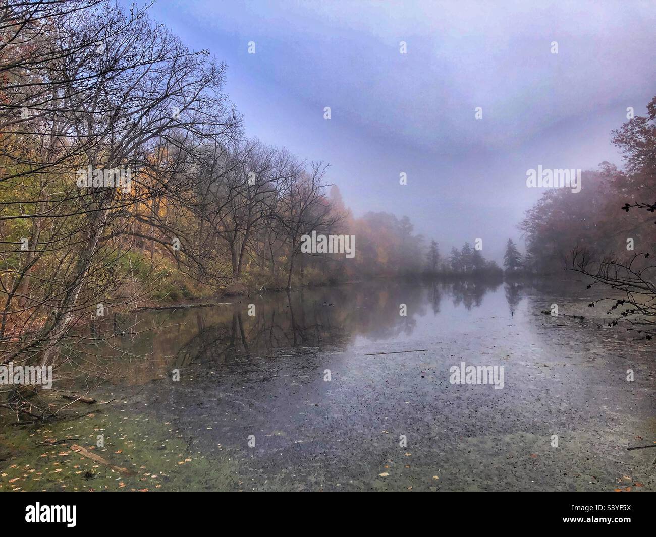 A mystical misty autumn landscape. - Smartphone Captured Stock Image