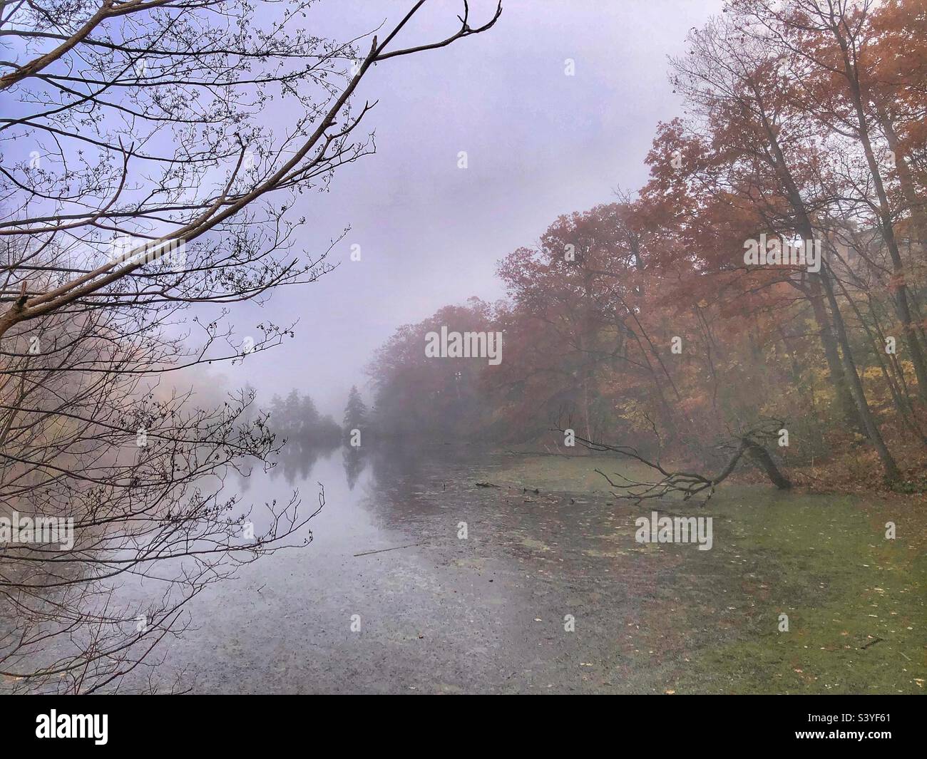 A mystical autumn landscape. - Smartphone Captured Stock Image