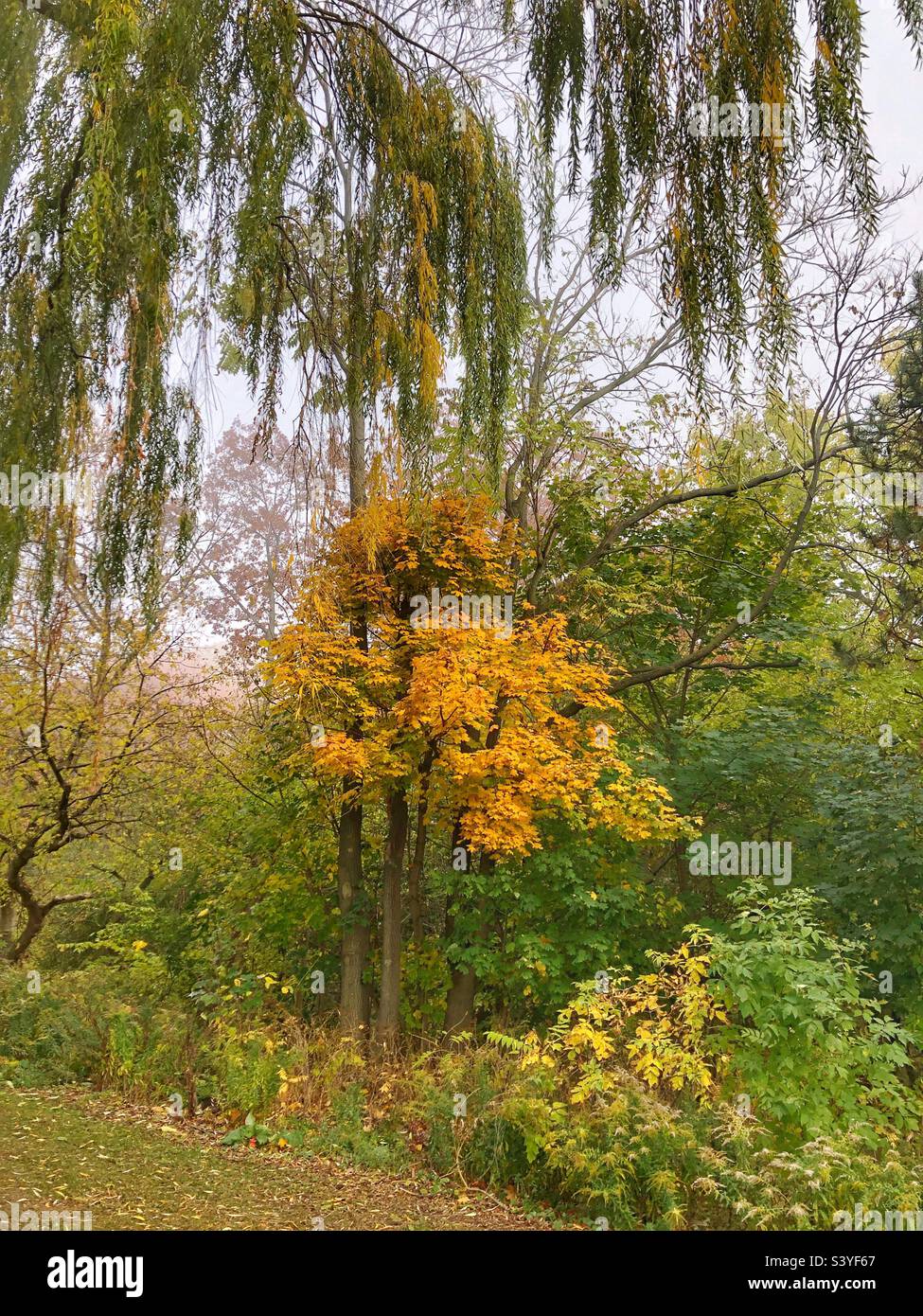 A serene autumn landscape. Stock Photo
