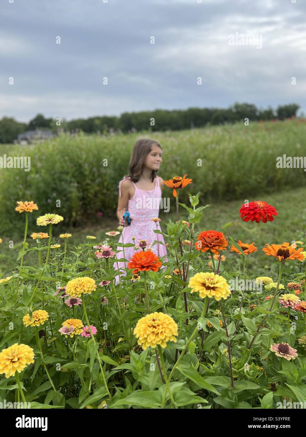 “Wild flowers don’t care where they grow.” Dolly Parton Stock Photo Alamy