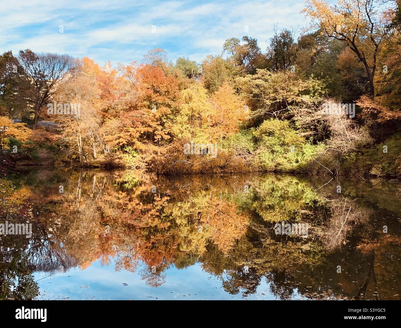 Manhattan Central Park trees in autumn (fall) colors, in New York, America Stock Photo