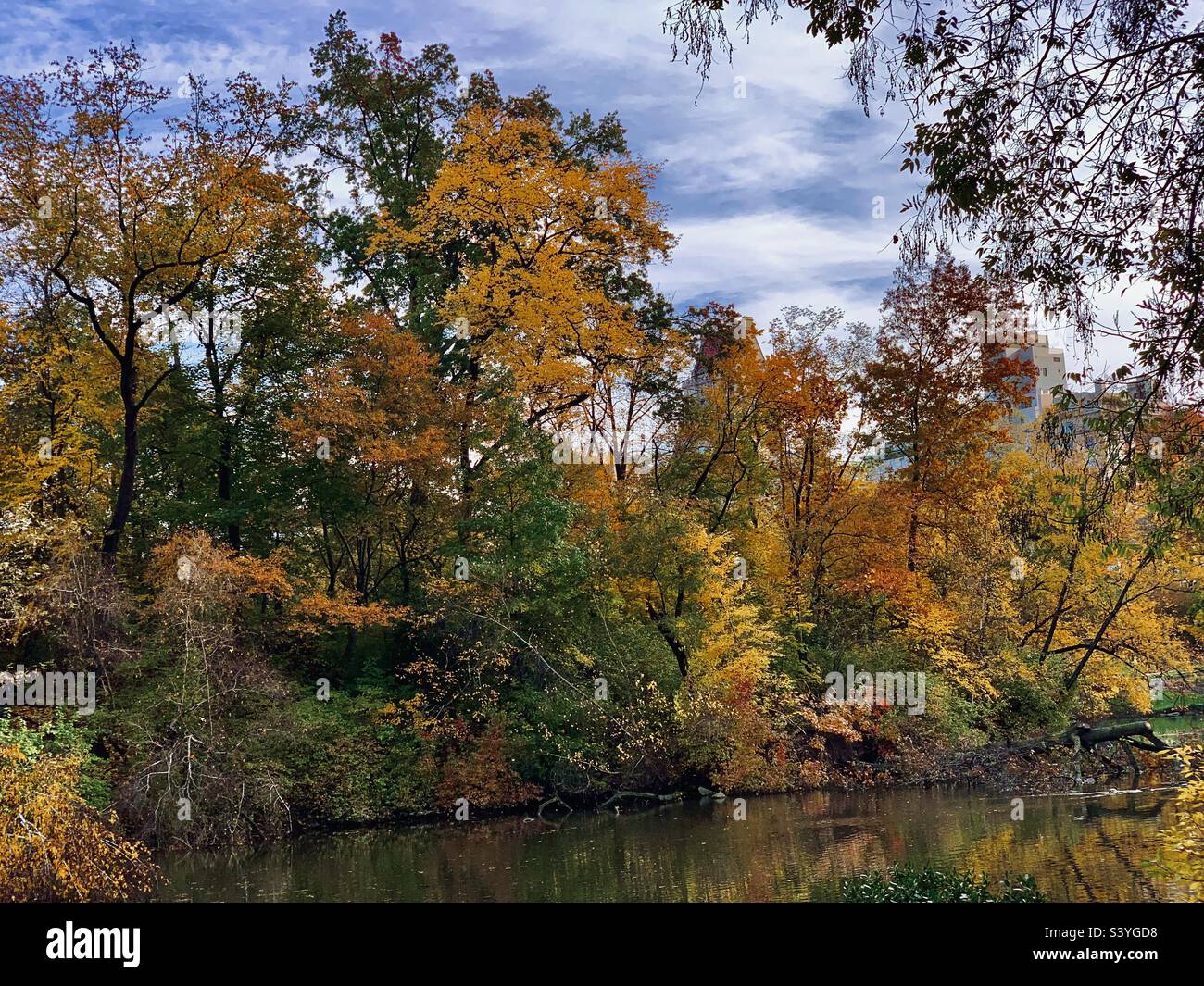 Central Park trees in full autumn colour in Manhattan New York Stock Photo