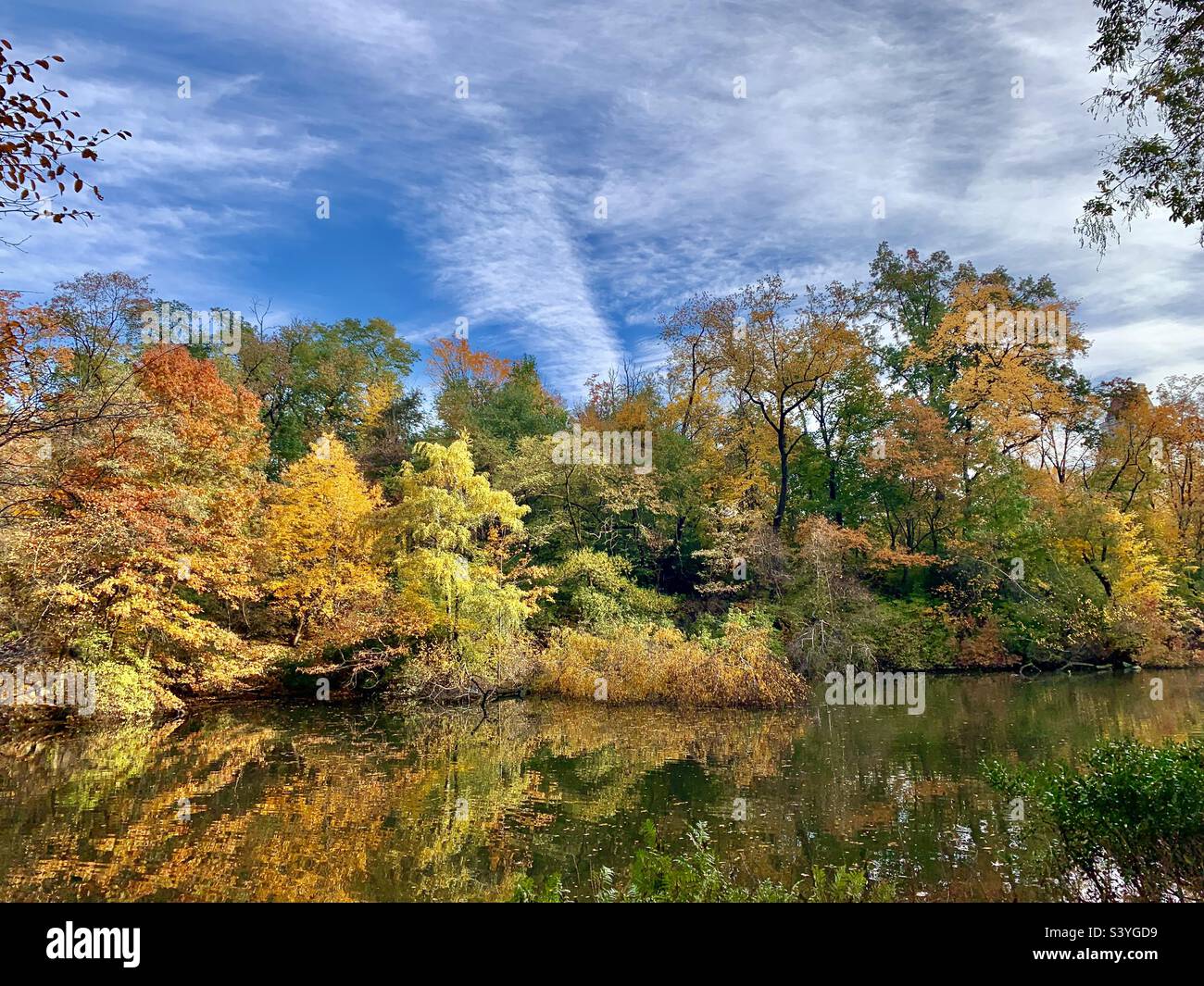 Incredible bright autumn (fall) day in Central Park, Manhattan, New York, USA, the soft golden autumn colours of the trees are reflected in the still clear lake with a blue sky and scattered clouds Stock Photo