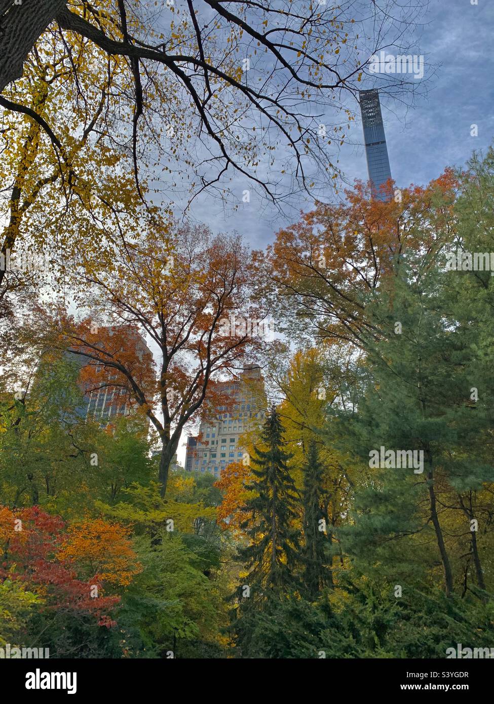 A stunning autumn science in Central Park, Manhattan New York City, USA ...