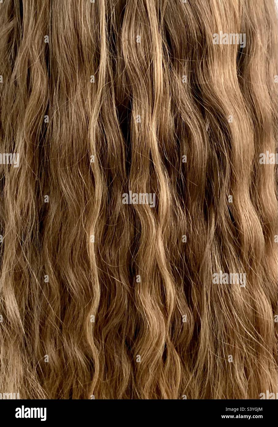 Blonde highlights hi-res stock photography and images - Alamy