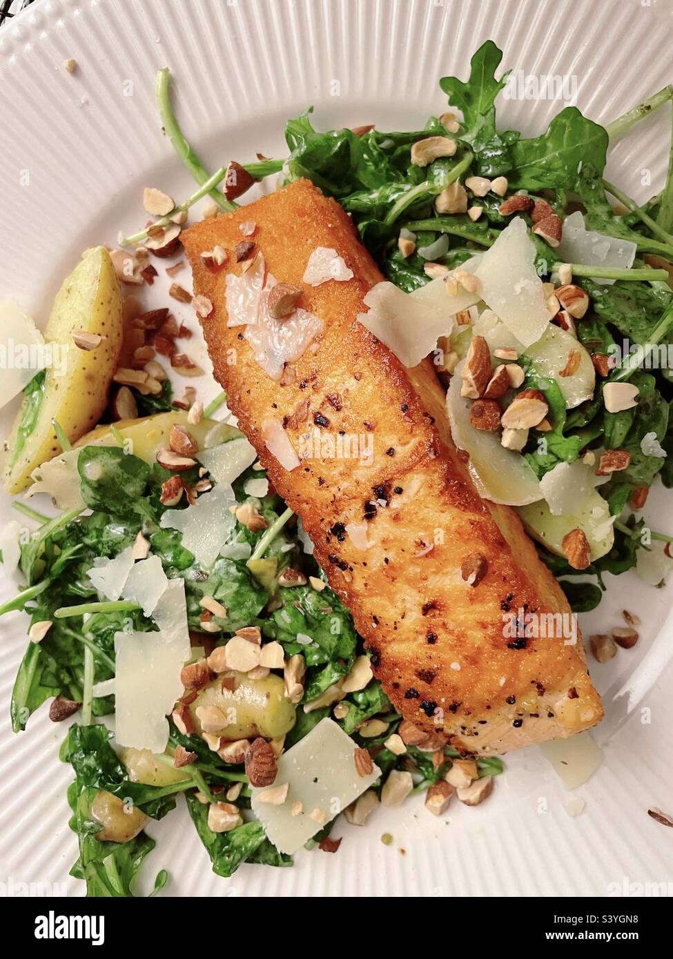Flat lay of a gourmet one dish meal of seared salmon on a bed of mixed greens with Parmesan cheese slices, 2022, USA - Smartphone Captured Stock Image