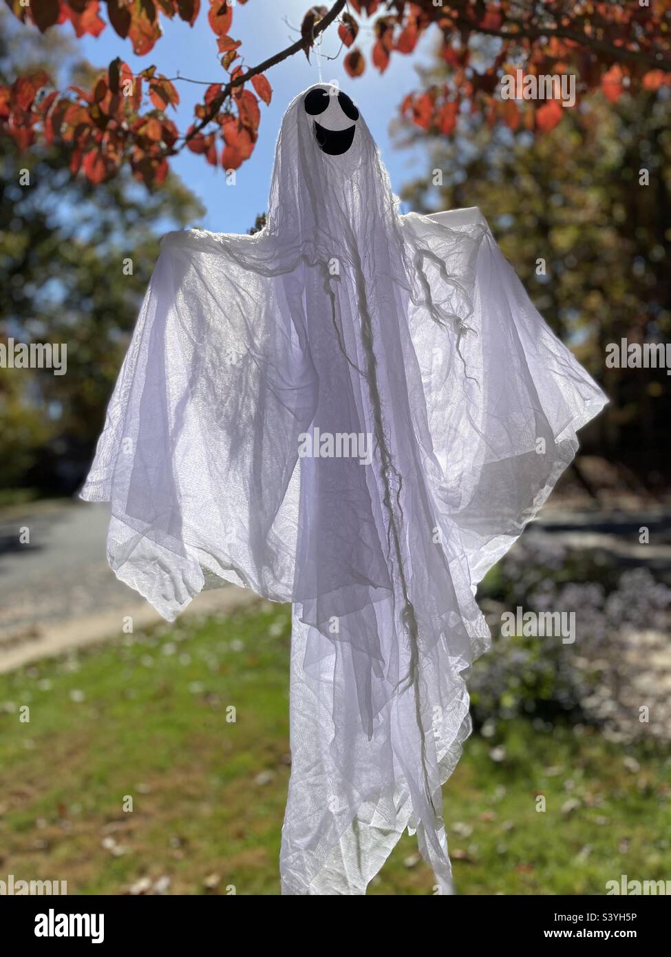 A homemade ghost hangs from a tree. - Smartphone Captured Stock Image
