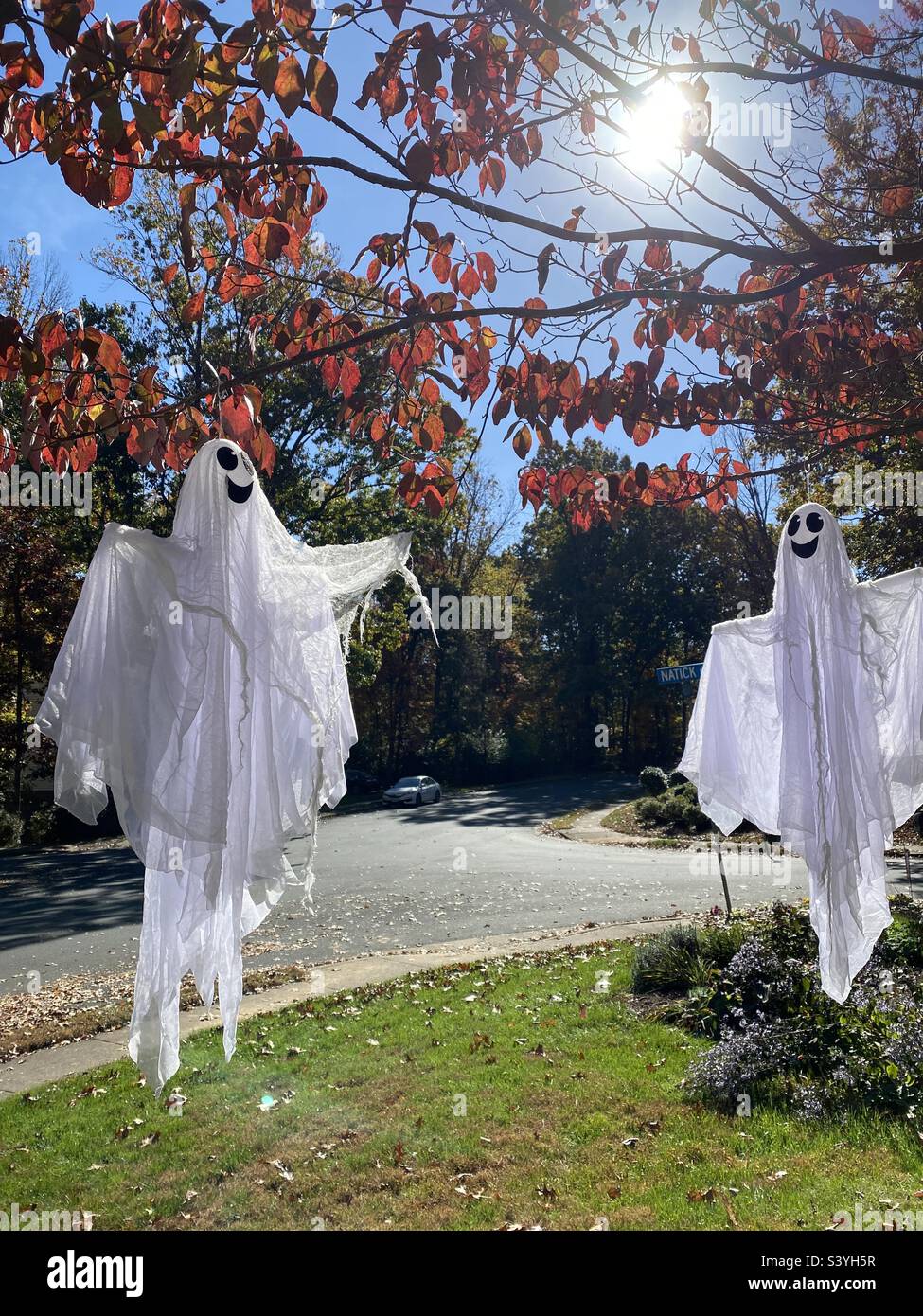 Two homemade ghosts hang from a tree Stock Photo Alamy
