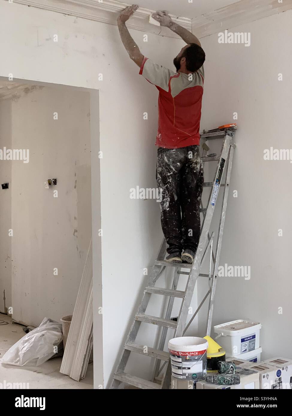 Paint splattered painter and decorator fixes orange cornicing to the ceiling of large room while up a ladder Stock Photo