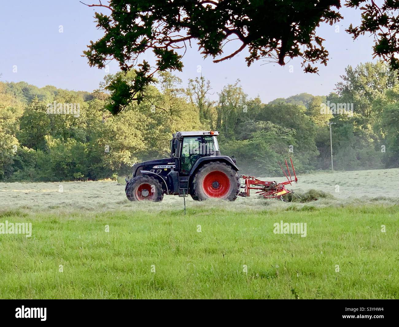 Making hay while the sun shines - a tractor with red wheels rakes over the dry cut grass in the process of Haymaking in summertime, Somerset, England Stock Photo