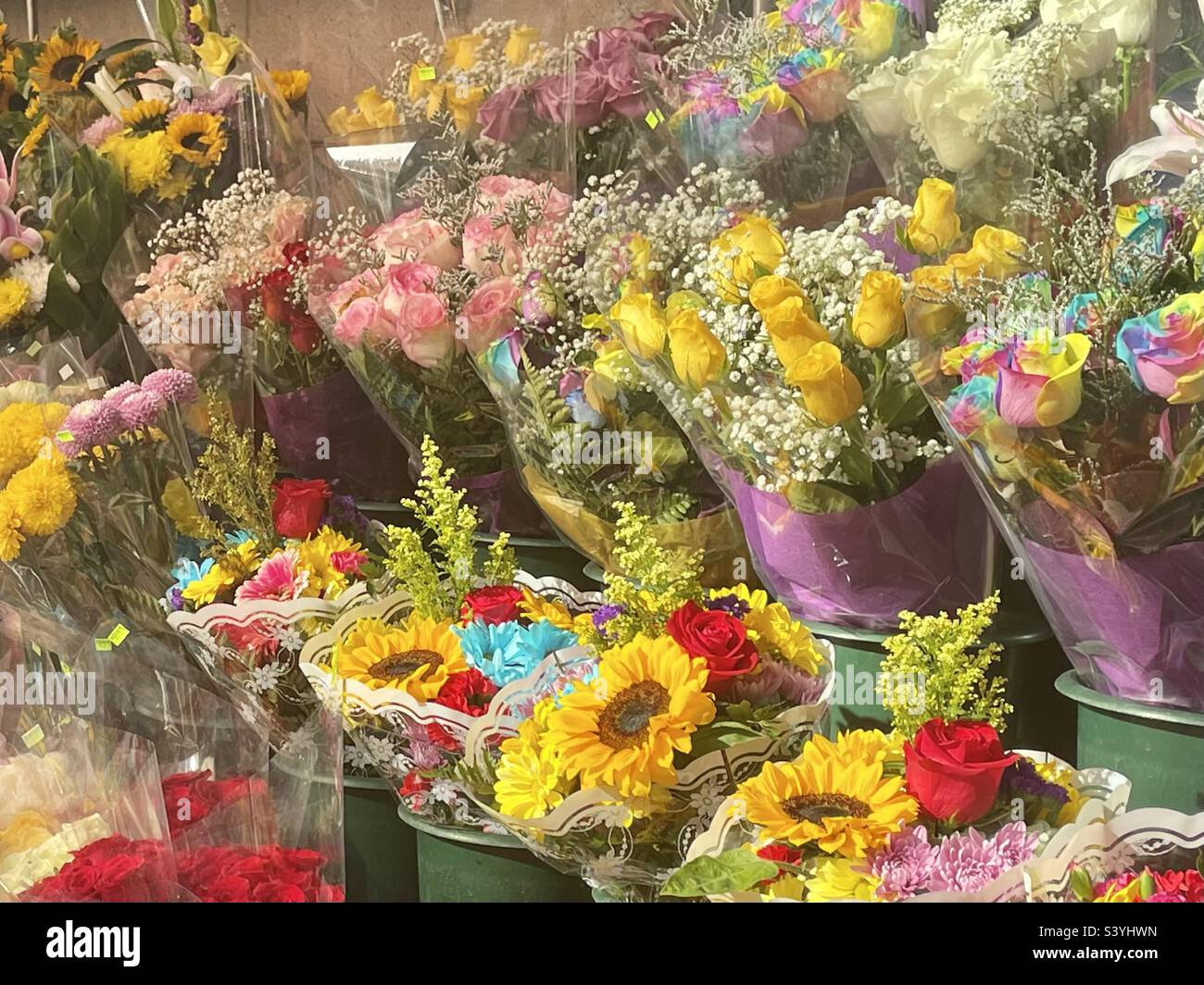 Babies breath flowers hires stock photography and images Alamy