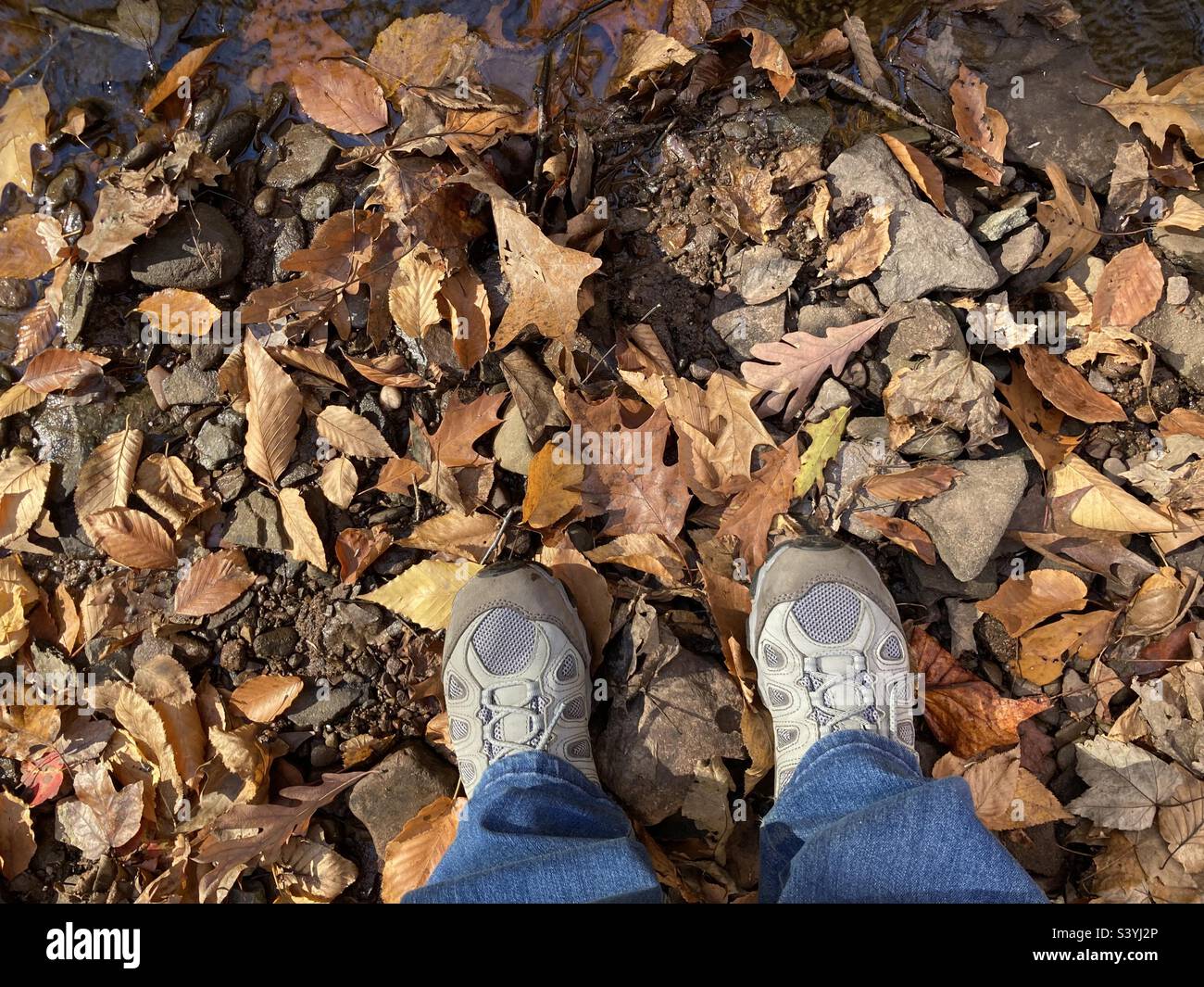 Hiking shoes in the midst of a pile of autumn leaves in New England, with the top part showing water from a stream - Smartphone Captured Stock Image