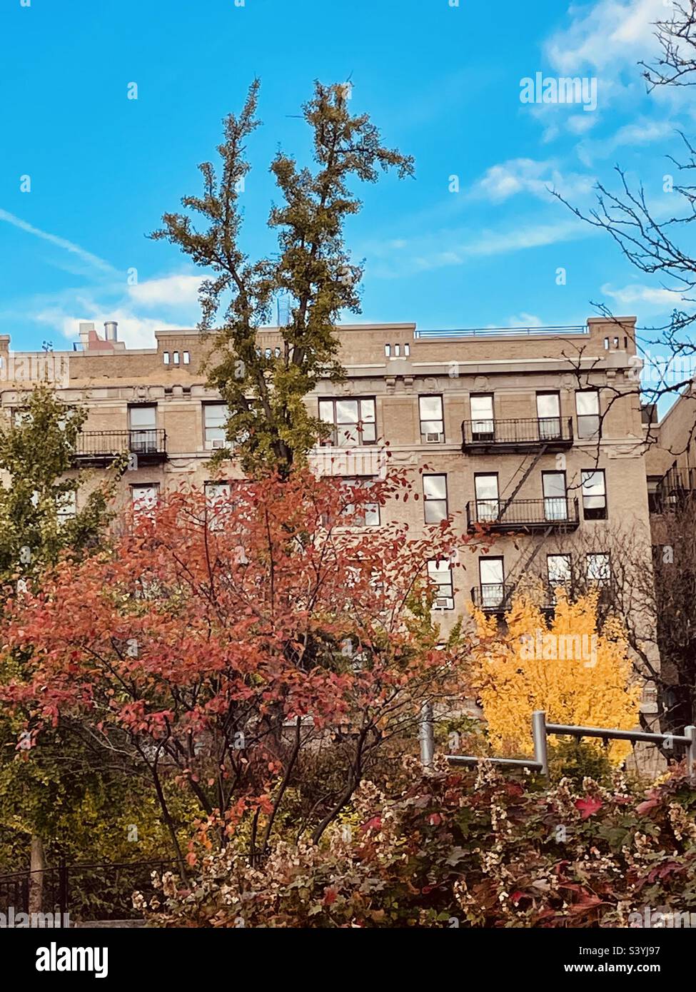 The change of seasons in Central Park facing north toward a brownstone building in New York City, Stock Photo