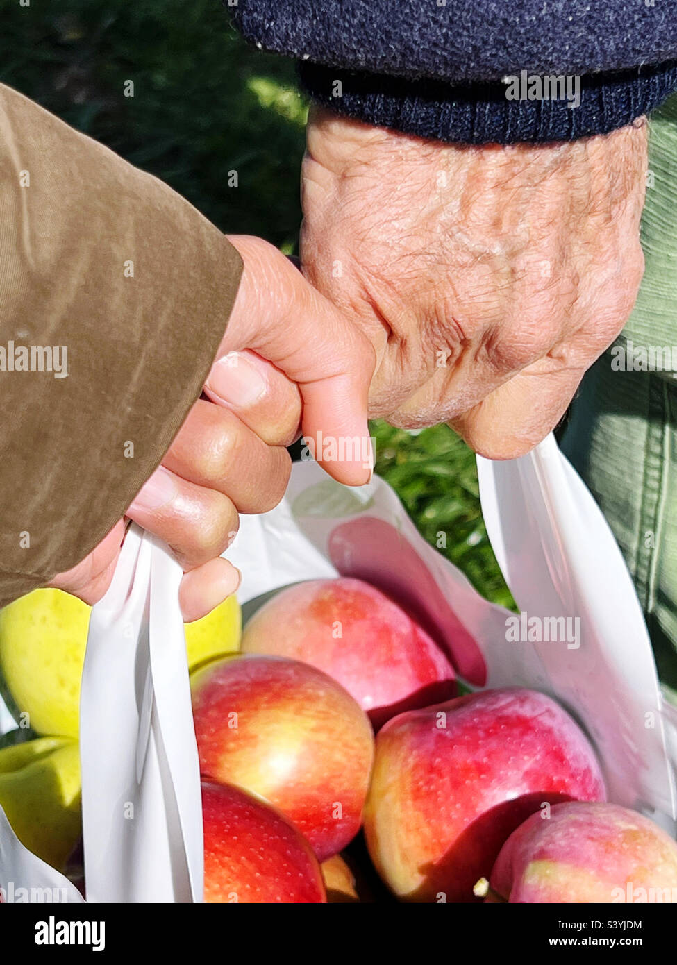 Two people carrying the apples from apple picking. - Smartphone Captured Stock Image