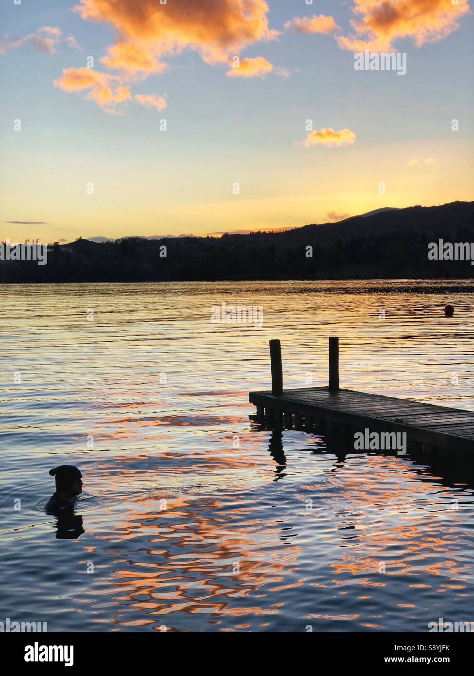 Wild swimming in Lake Windermere at dusk, Cumbria Lake District - Smartphone Captured Stock Image