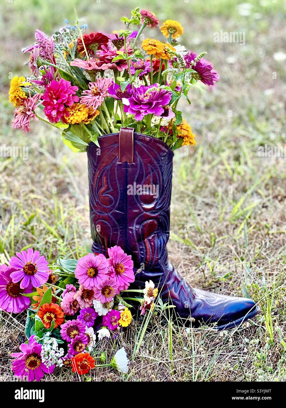 Flowers and boots Stock Photo