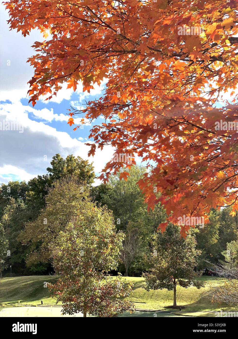 Beautiful autumn day - Smartphone Captured Stock Image