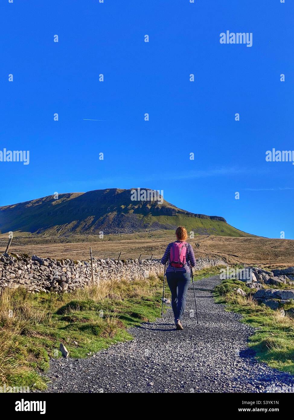 Woman hiker walking towards Pen-y-Ghent mountain in the Yorkshire Dales - Smartphone Captured Stock Image