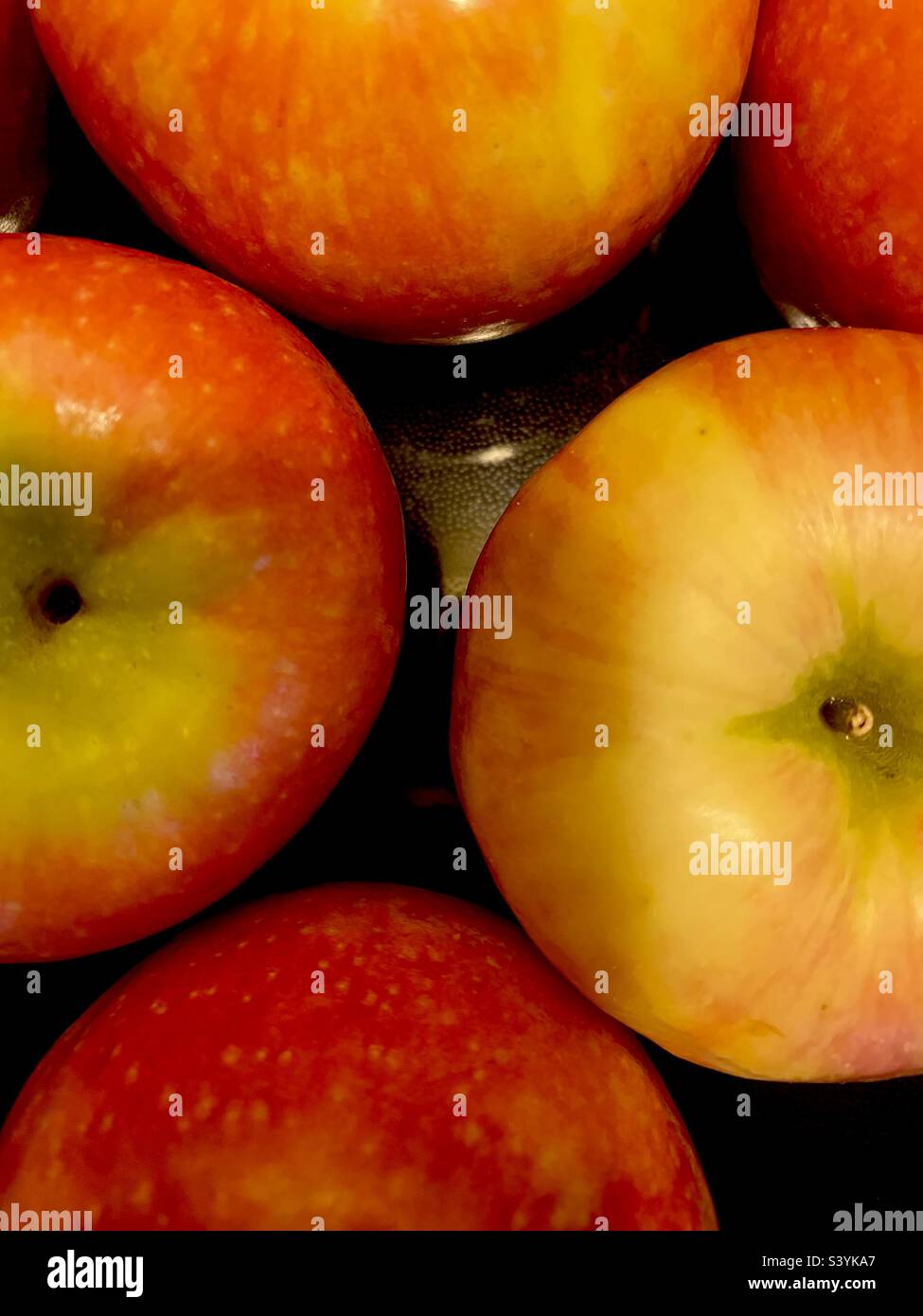 Pink lady apples Stock Photo Alamy