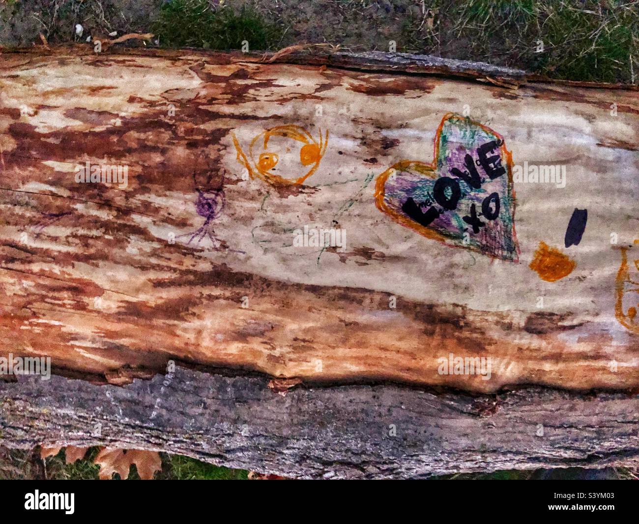 Love heart drawn on a log. - Smartphone Captured Stock Image