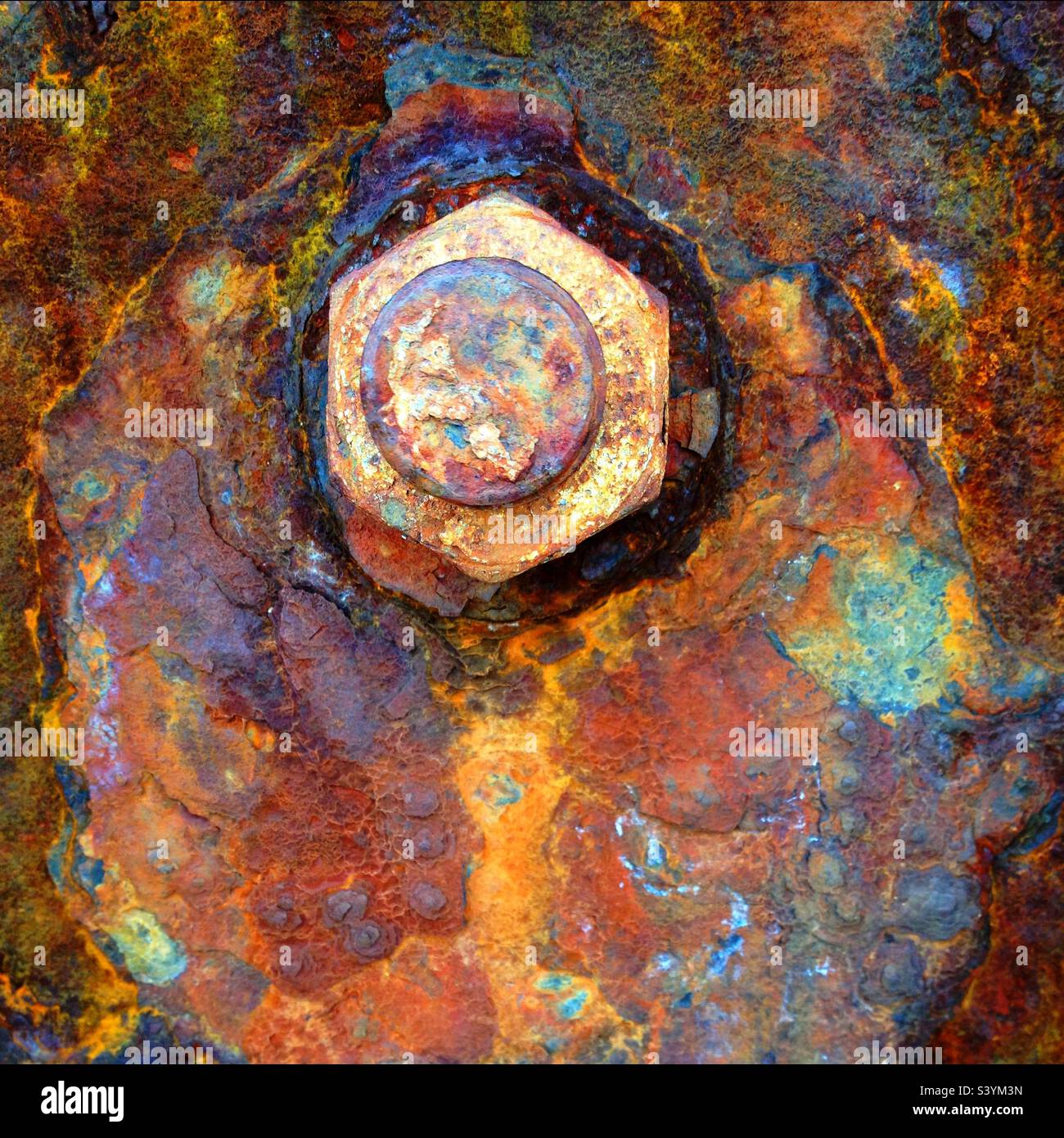 Rusty bolt with patina. The bolt is centered in the middle towards the top with empty space around it. - Smartphone Captured Stock Image